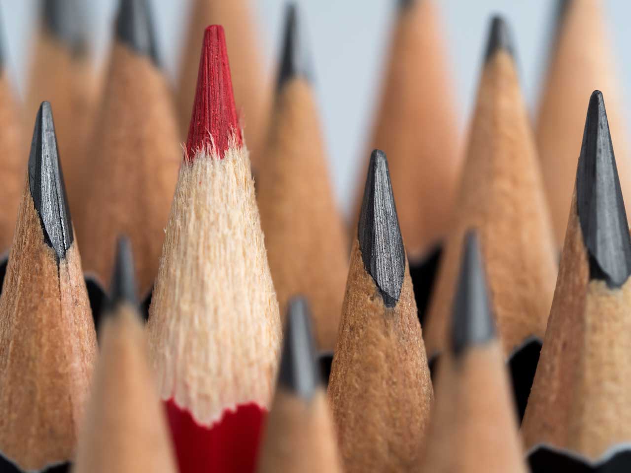stand-out Stand Out from the Crowd
