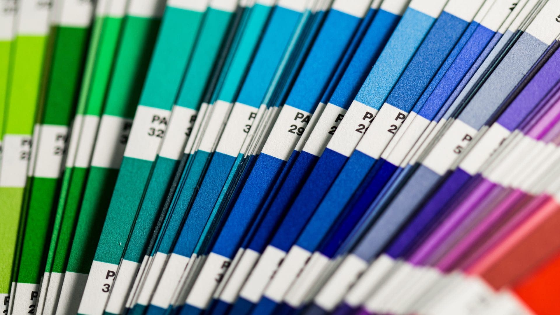 What color says about your brand - Brenits Creative